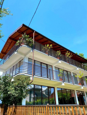 CASA IONUȚ Borşa